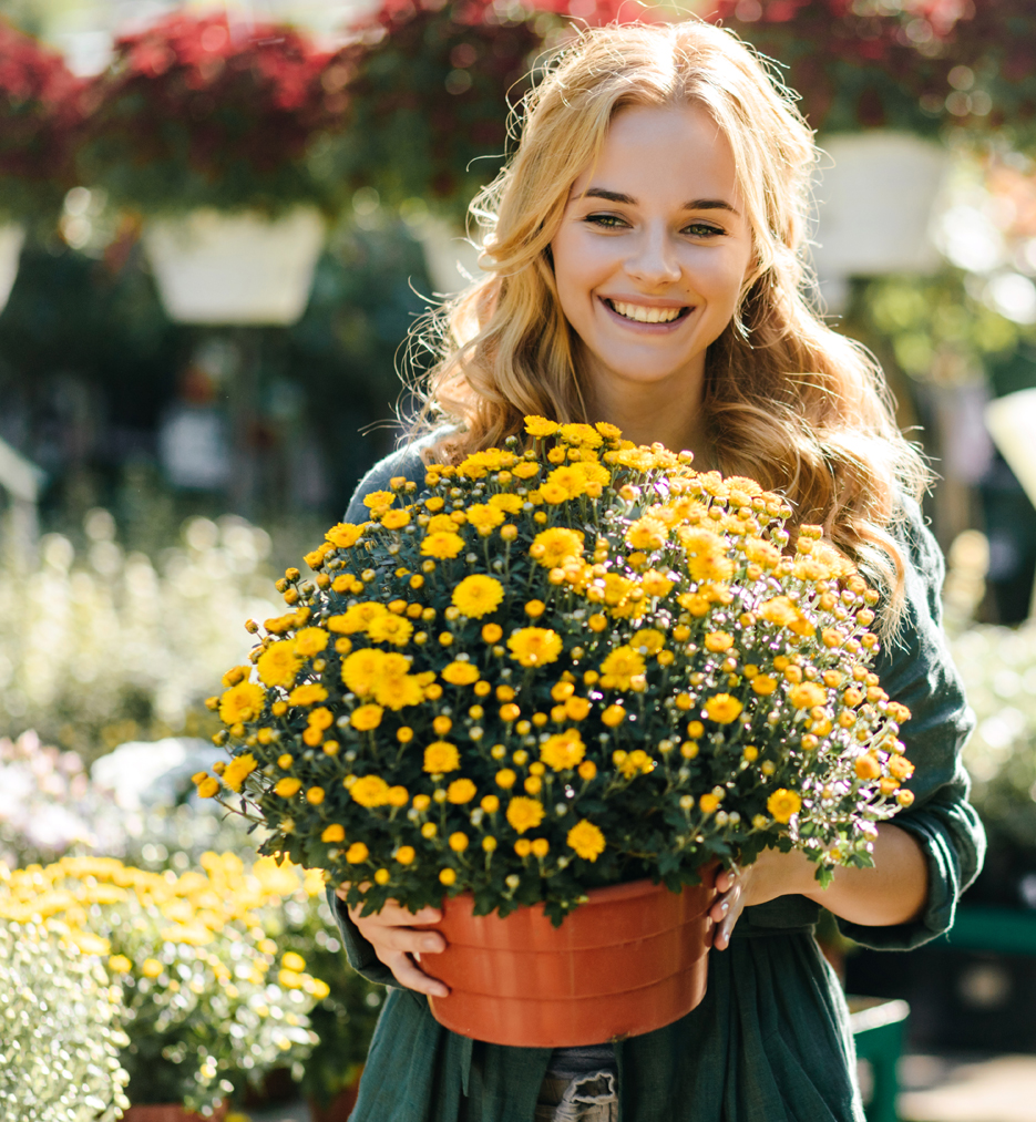 Продажа и доставка цветов и саженцев